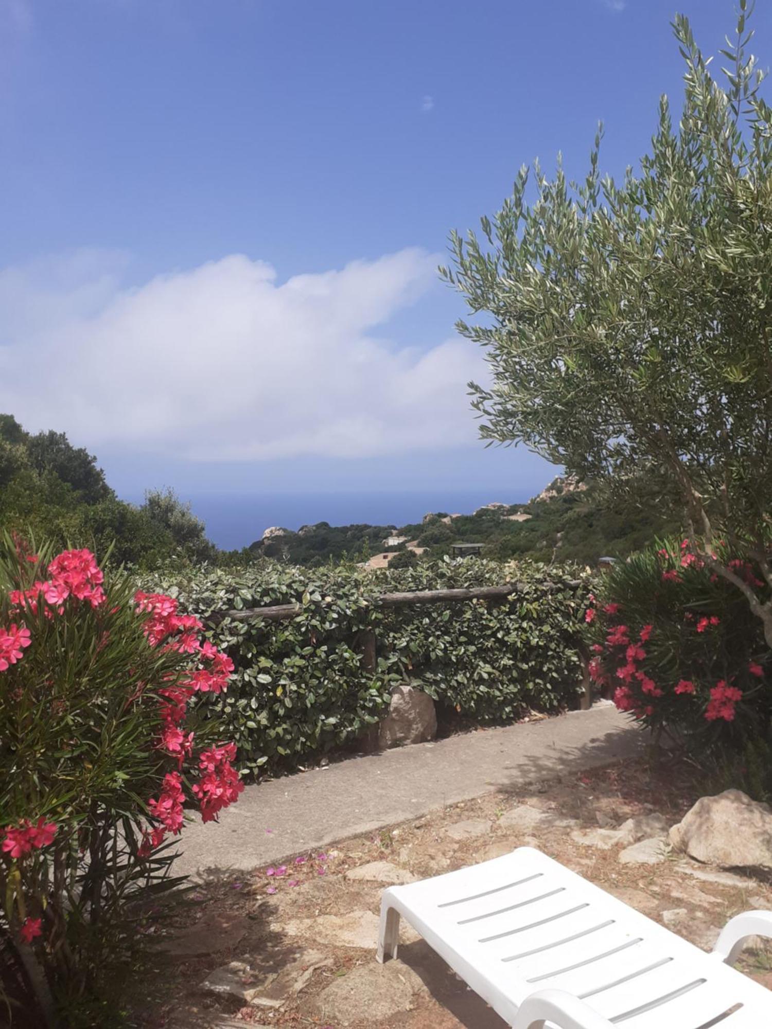Villetta Rocchi - Costa Paradiso Eksteriør billede